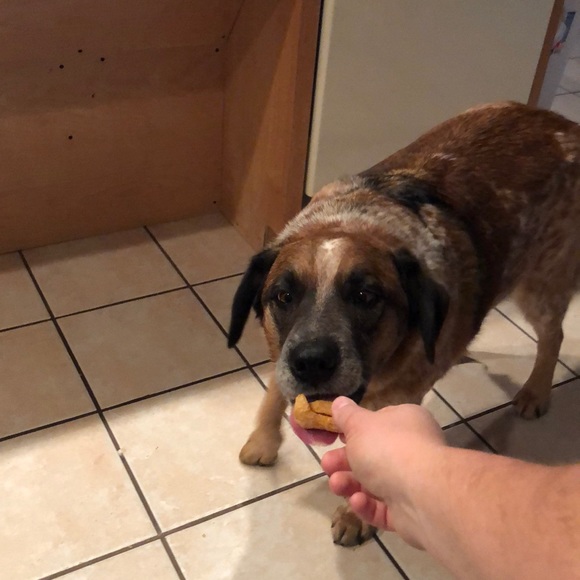 Meet your Posher, Steven - Picture 1 of 1